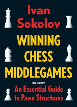 Winning Chess Middlegames vol. 1