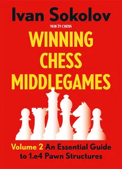 Winning Chess Middlegames vol. 2